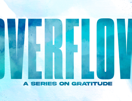 New series starting Sunday… with some new teachers!
